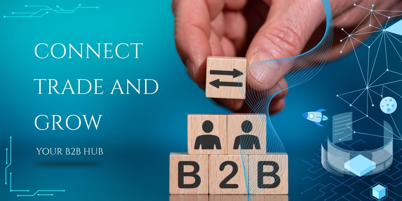 B2B Portals & Partner Hubs